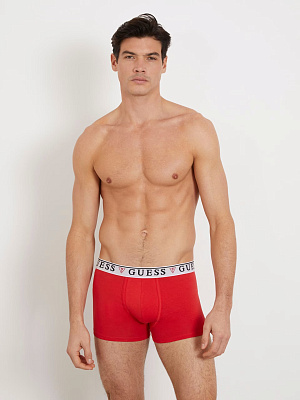 Наборы трусов GUESS