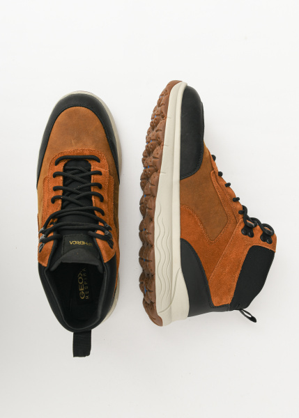 Полусапоги GEOX