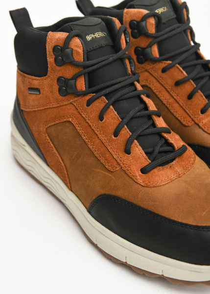 Полусапоги GEOX