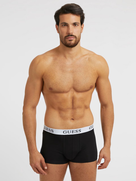 Наборы трусов GUESS