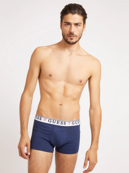 Наборы трусов GUESS